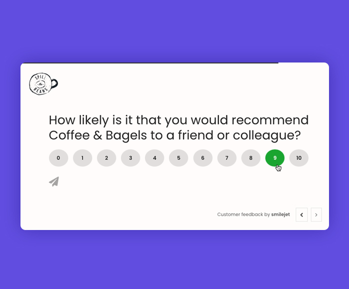 NPS survey example